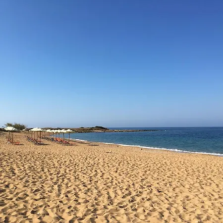 Casakounopetra